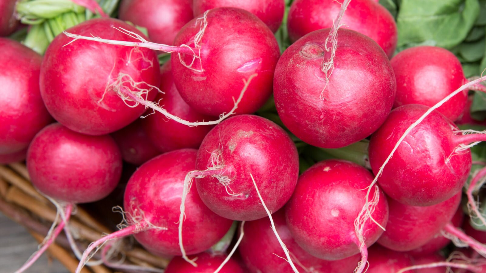 Frische Radieschen auf einem Markt, sie gehören zu den Gemüsesorten mit hohem Nitratgehalt