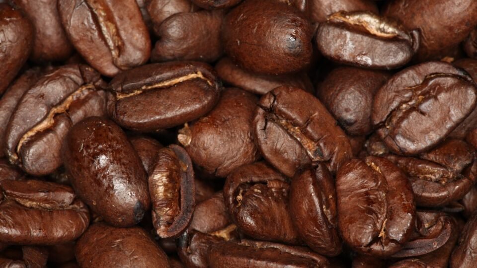 EU-Entwaldungsverordnung gilt ab 30. Dezember für Kaffee, Kakao und weitere Waren