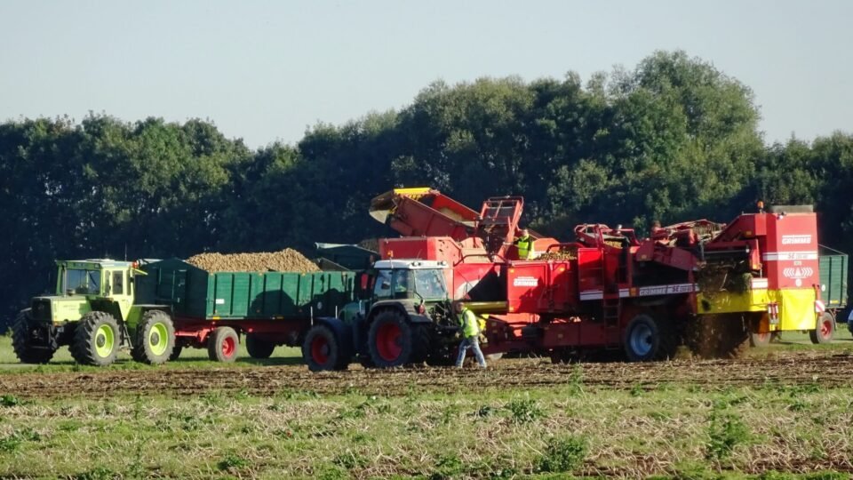 Kartoffelroder und Traktoren bei der Kartoffelernte auf einem Feld am Niederrhein