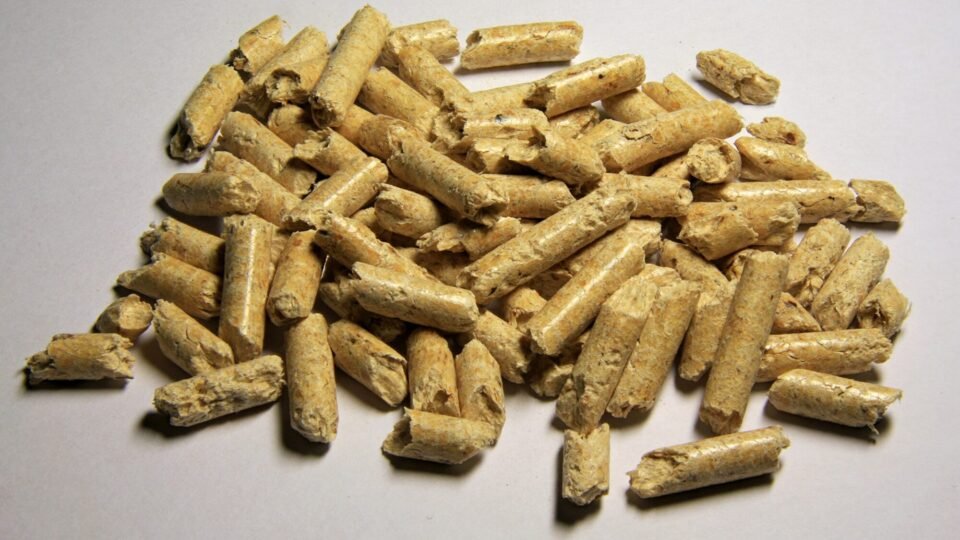 Holzpellets als Symbol für stark gestiegene Preise für Brennstoffe in Deutschland
