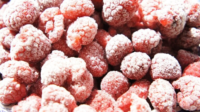 Gefrorene Himbeeren mit Eiskristallen dicht nebeneinander in einer Nahaufnahme