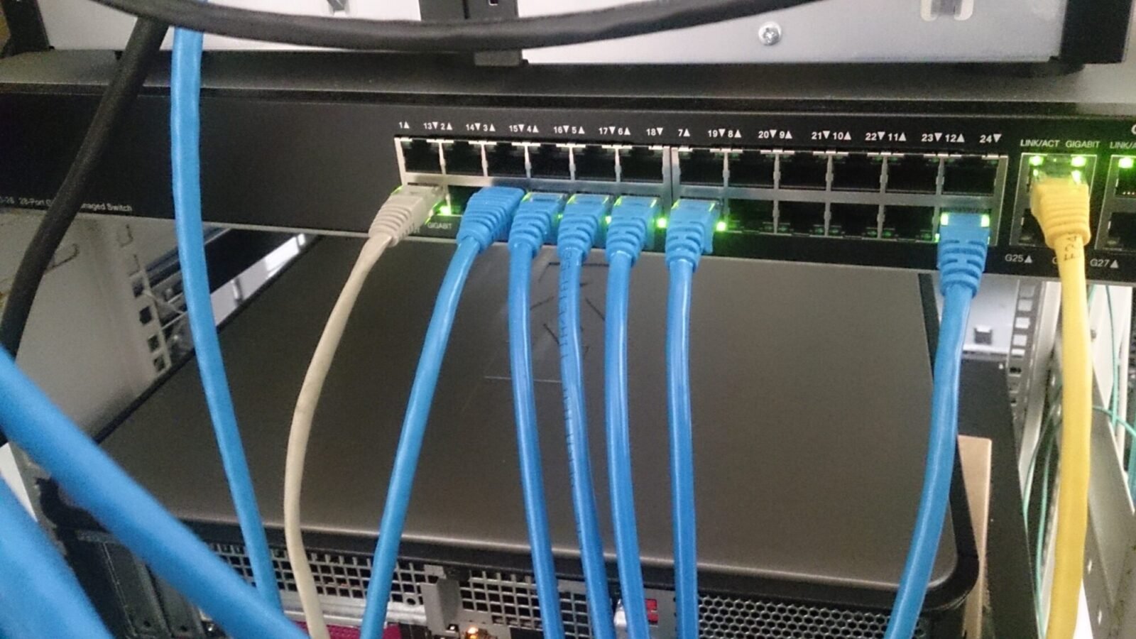 Blaue Netzwerkkabel stecken in einem Netzwerk-Switch eines technischen Steuerungsraums