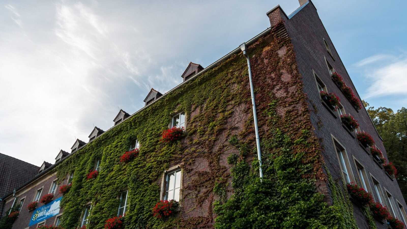 Efeubewachsene Fassade des Rathauses in Dülmen mit Blumenkästen unter blauem Himmel