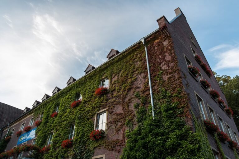 Efeubewachsene Fassade des Rathauses in Dülmen mit Blumenkästen unter blauem Himmel