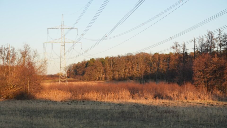 Hochspannungsleitung über einer Wiese bei Neuenhagen, Symbolbild für die Stromversorgung von Haushalten