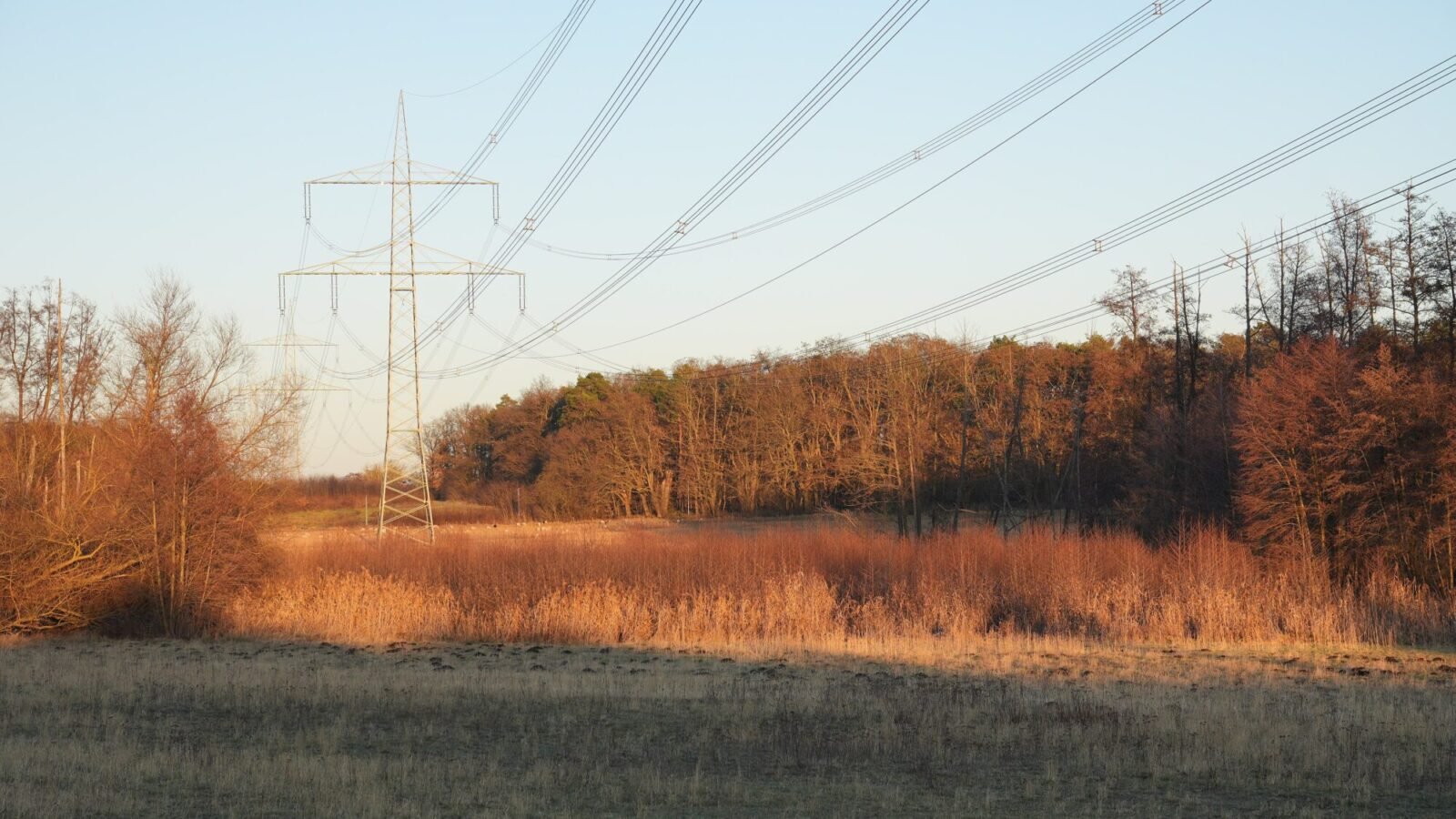 Hochspannungsmast und Stromleitungen über einer Wiese bei Neuenhagen im Abendlicht