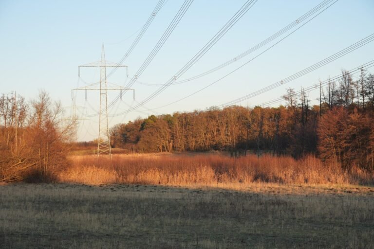 Hochspannungsmast und Stromleitungen über einer Wiese bei Neuenhagen im Abendlicht